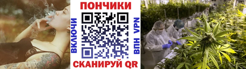 Шишки марихуана семена  OMG ССЫЛКА  Снежногорск 
